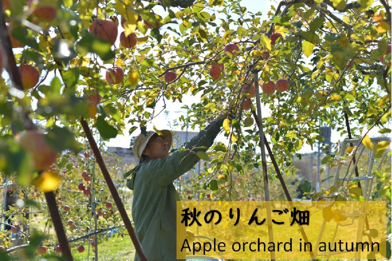 Апартаменти Shinshu Yokoya Farm Мацумото Екстер'єр фото